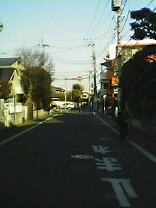060129_1536%7E01001.jpg