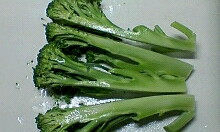 img20090428_1.jpg