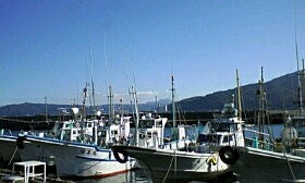 岡村洋一の写真日記 10年10月09日 岡村洋一の写真日記 10年10月09日