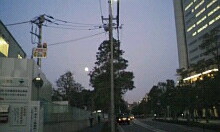 img20090429_2.jpg