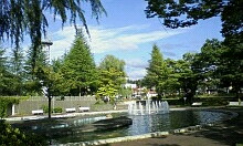 img20080831_2.jpg