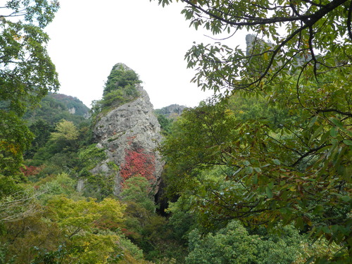IMGP0121