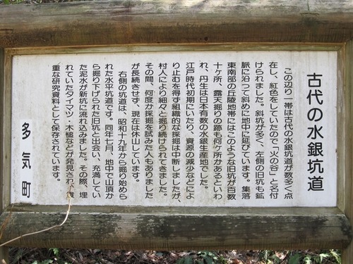 m_IMG_5100_R-0ceaa[1]