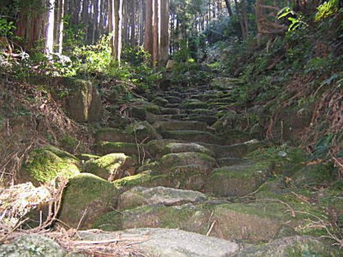 yagiyama10[1]