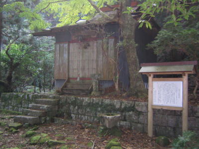 yagiyama16[1]