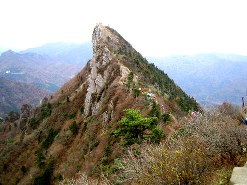 img20100111_5.jpg