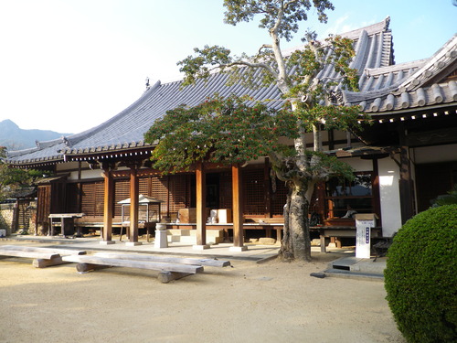 IMGP0148