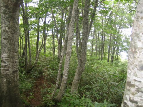 img20090911_11.jpg