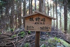 img20090201_7.jpg