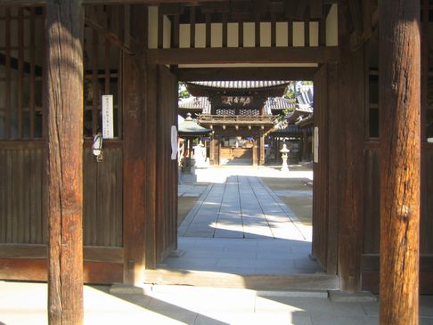 img20091211_1.jpg