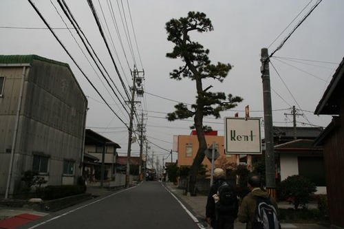 IMG_4513 東海道名残の一本松