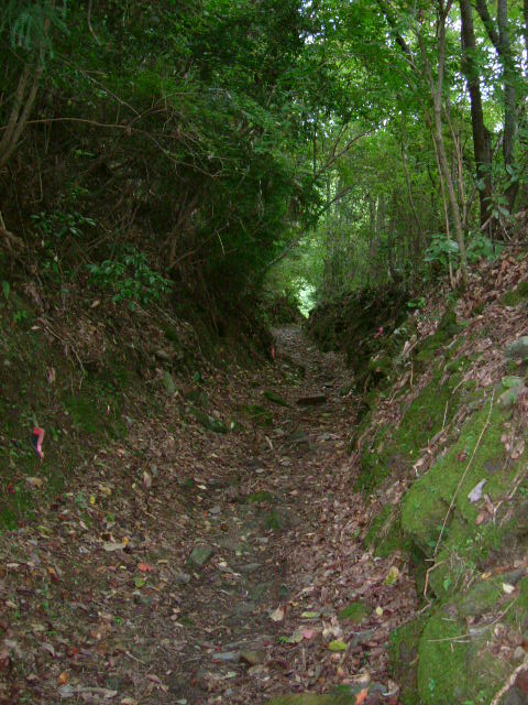 DSCF2095