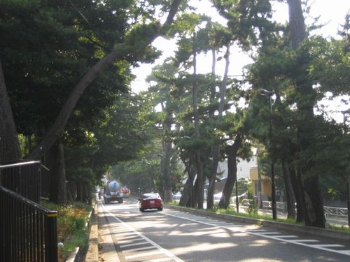 東海・東高・神護寺等 042