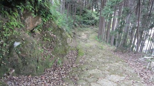 IMG_0939