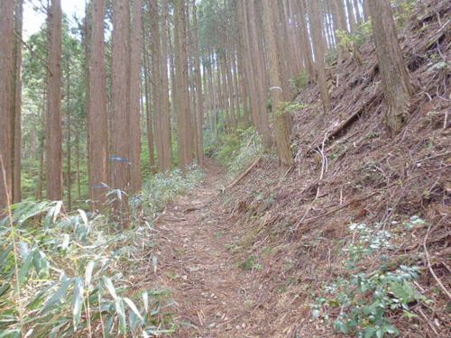 img_495590_14551868_4[1]