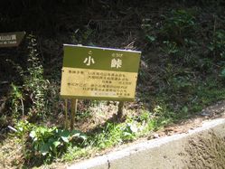 img20090713_1.jpg