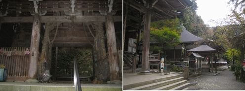 img20100111.jpg