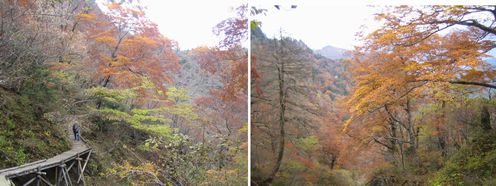 img20100111_8.jpg