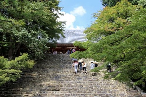 17d8e6f57bd24108b72c285208a29940[1]