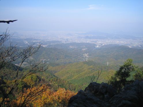 img20100121_5.jpg