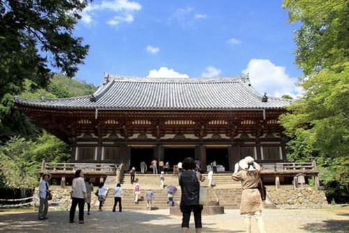 5337075179dc387da66c01c7a81ff1a5[1]