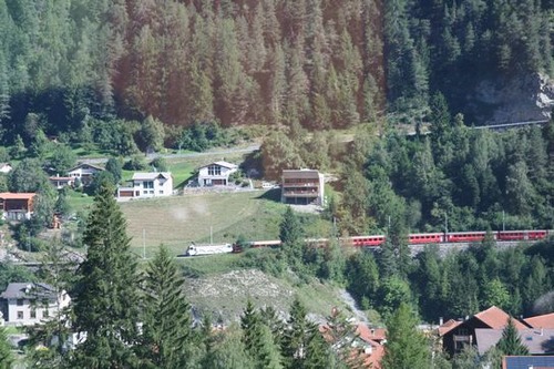 2010-08-29 031