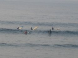 img20090806_3.jpg
