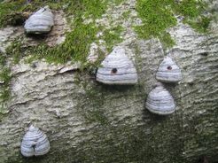 img20090911_1.jpg