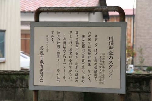 IMG_4404