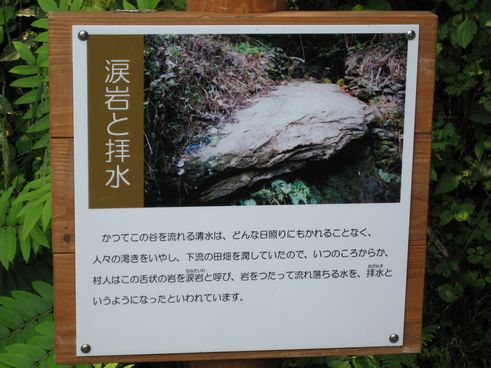 staff2 (19)