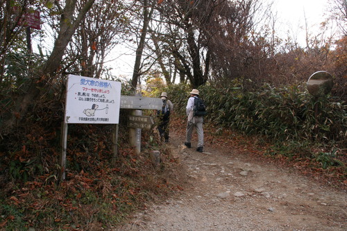 IMG_1314 伏見峠を下りずに次の目標、久留野峠へ