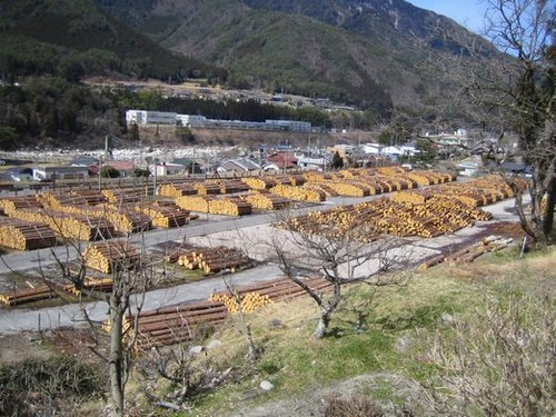 NAKASENDO 048