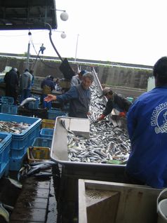 img20090729_2.jpg