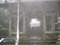 img20090729_7.jpg