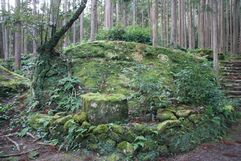 img20090201_4.jpg