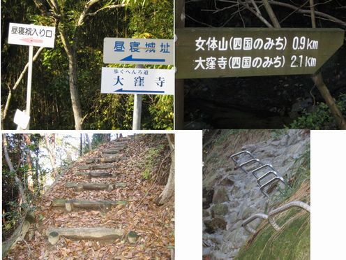 img20100108_2.jpg