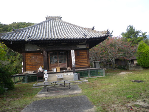 IMGP0157