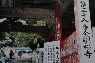 img_1510.jpg