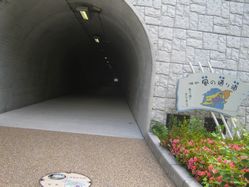 img20090804_2.jpg