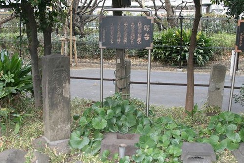 東海道 048