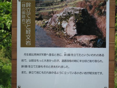 staff2 (15)