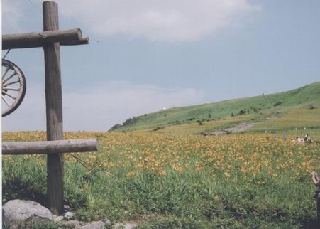 img20080830.jpg