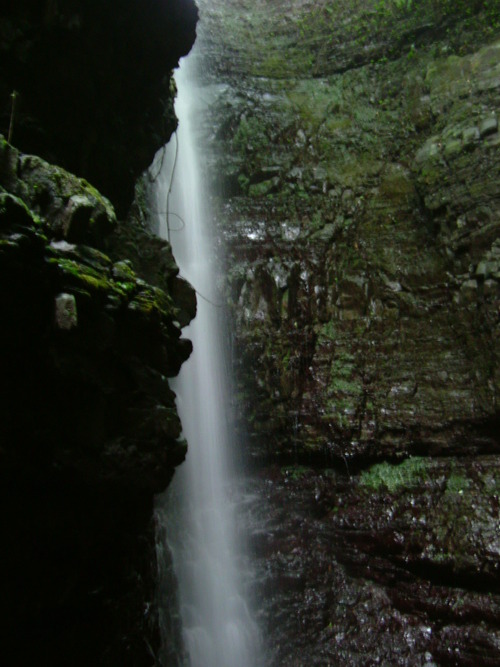 DSCF2828