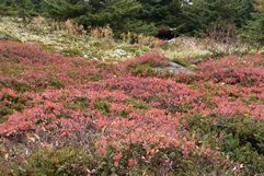 img_2927.jpg