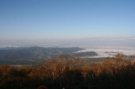 img20081021_2.jpg