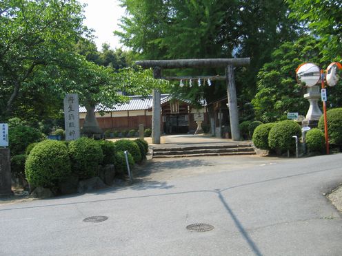 staff3 (14)