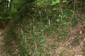 img20090116_6.jpg