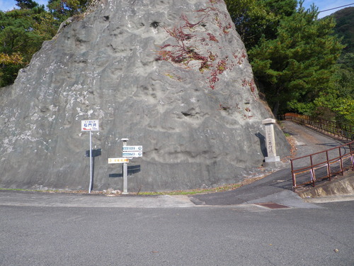 IMGP0139