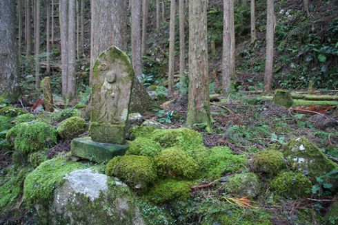 img20090201_6.jpg