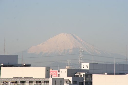 IMG_7055